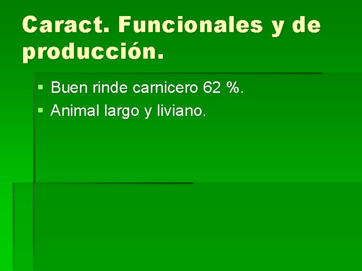 Caract. Funcionales y de producción. § Buen rinde carnicero 62 %. § Animal largo