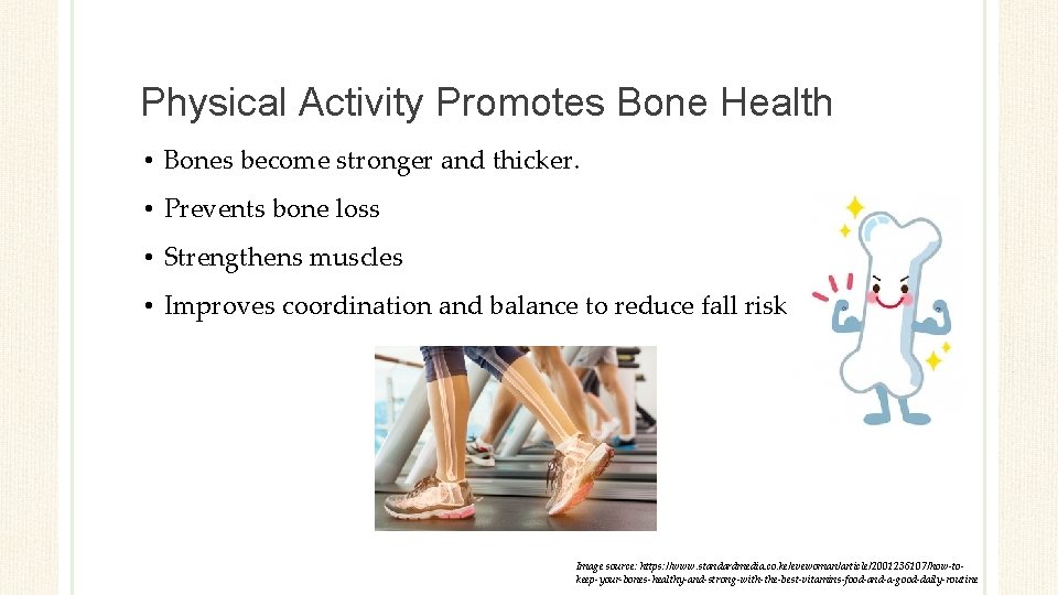 Physical Activity Promotes Bone Health • Bones become stronger and thicker. • Prevents bone