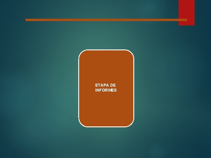 ETAPA DE INFORMES 
