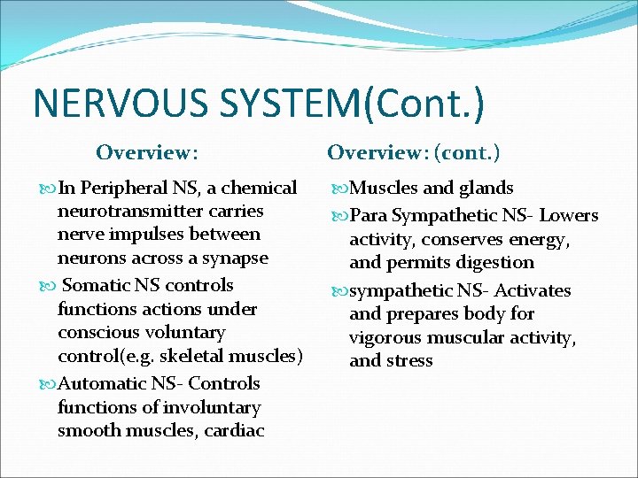 NERVOUS SYSTEM(Cont. ) Overview: In Peripheral NS, a chemical neurotransmitter carries nerve impulses between
