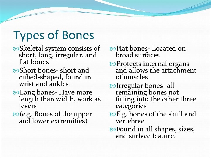 Types of Bones Skeletal system consists of short, long, irregular, and flat bones Short