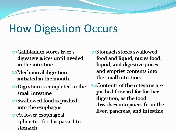 How Digestion Occurs Gallbladder stores liver’s digestive juices until needed in the intestine Mechanical