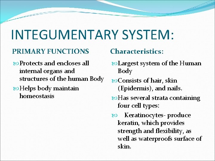 INTEGUMENTARY SYSTEM: PRIMARY FUNCTIONS Characteristics: Protects and encloses all internal organs and structures of