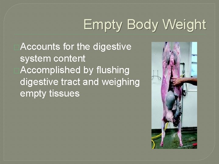 Empty Body Weight �Accounts for the digestive system content �Accomplished by flushing digestive tract