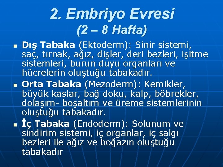 2. Embriyo Evresi (2 – 8 Hafta) n n n Dış Tabaka (Ektoderm): Sinir