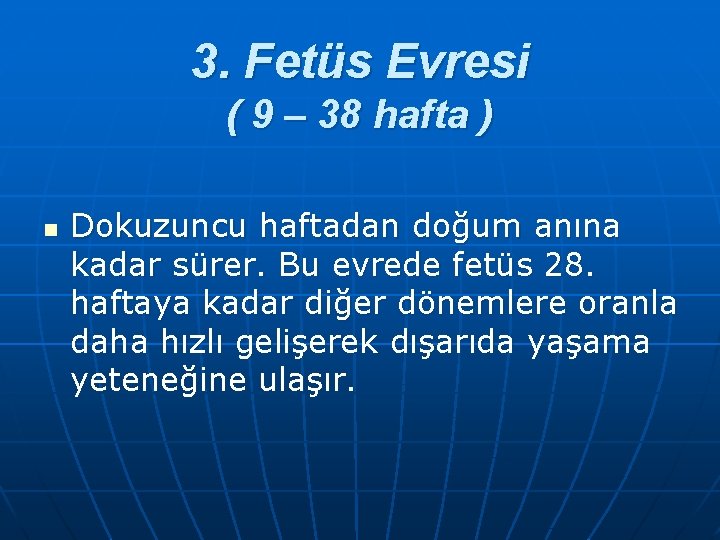 3. Fetüs Evresi ( 9 – 38 hafta ) n Dokuzuncu haftadan doğum anına