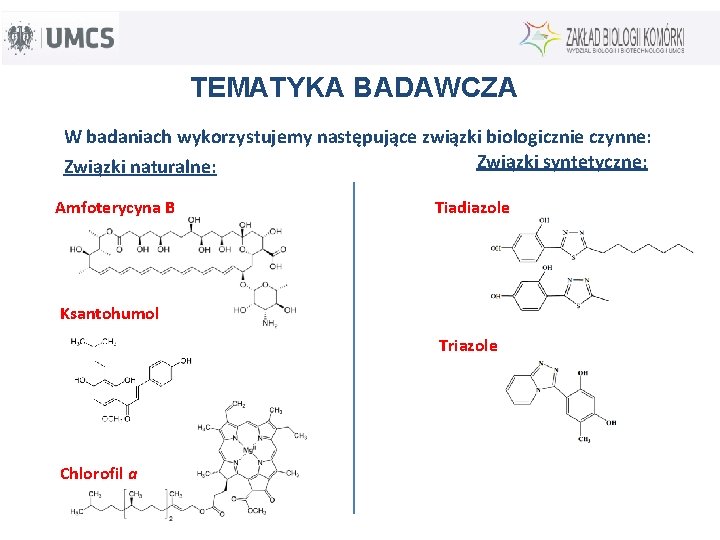 TEMATYKA BADAWCZA W badaniach wykorzystujemy następujące związki biologicznie czynne: Związki syntetyczne: Związki naturalne: Amfoterycyna