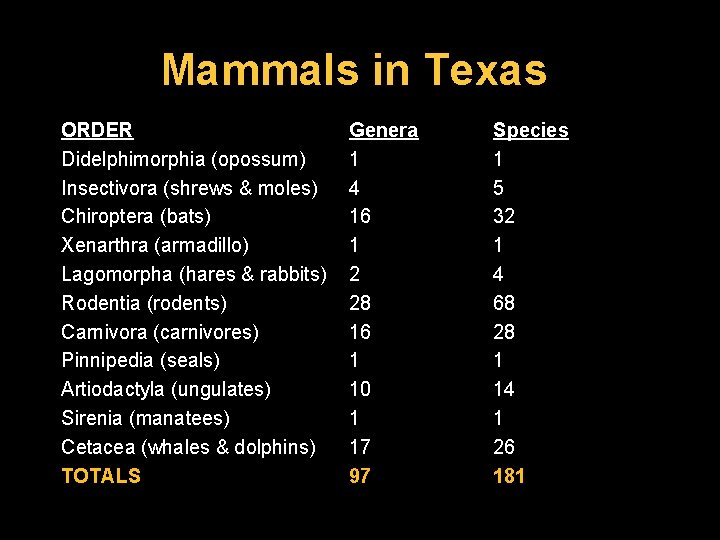 Mammals in Texas ORDER Didelphimorphia (opossum) Insectivora (shrews & moles) Chiroptera (bats) Xenarthra (armadillo)