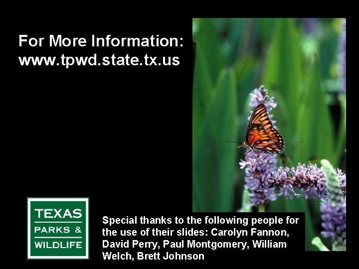 For More Information: www. tpwd. state. tx. us Special thanks to the following people