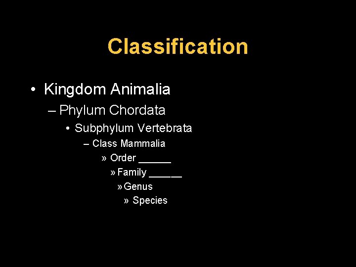 Classification • Kingdom Animalia – Phylum Chordata • Subphylum Vertebrata – Class Mammalia »