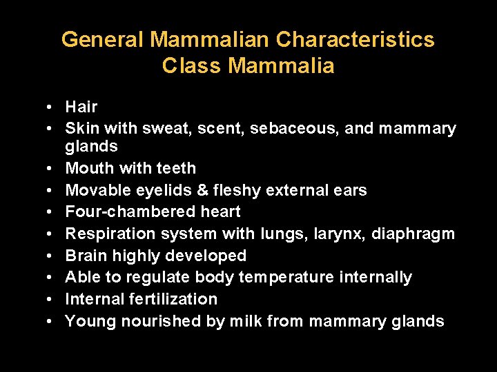 General Mammalian Characteristics Class Mammalia • Hair • Skin with sweat, scent, sebaceous, and