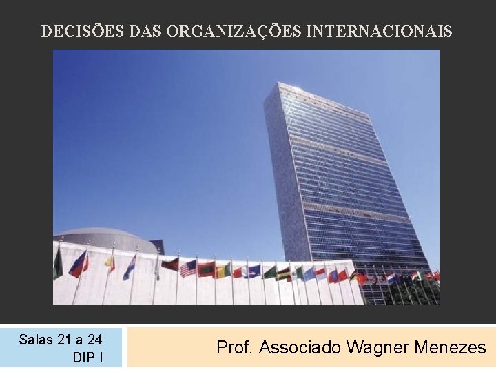 DECISÕES DAS ORGANIZAÇÕES INTERNACIONAIS Salas 21 a 24 DIP I Prof. Associado Wagner Menezes