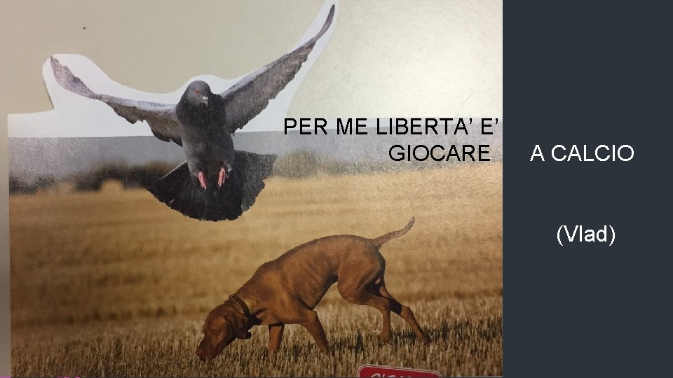 PER ME LIBERTA’ E’ GIOCARE A CALCIO (Vlad) 