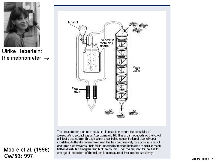 Ulrike Heberlein: the inebriometer Moore et al. (1998) Cell 93: 997. MCB 140, 12