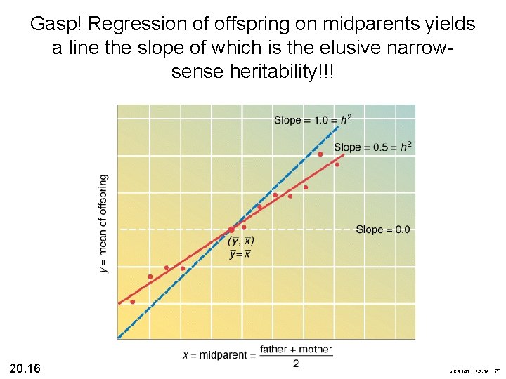 Gasp! Regression of offspring on midparents yields a line the slope of which is