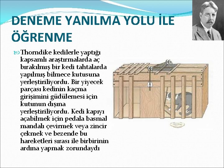 DENEME YANILMA YOLU İLE ÖĞRENME Thorndike kedilerle yaptığı kapsamlı araştırmalarda aç bırakılmış bir kedi