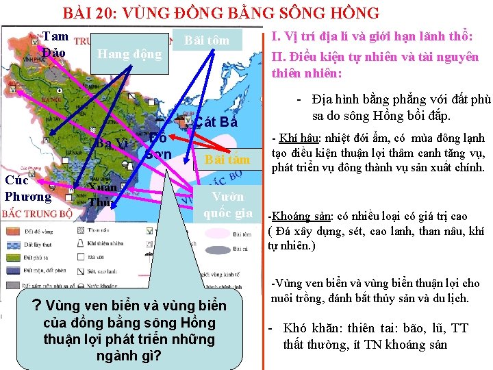 BÀI 20: VÙNG ĐỒNG BẰNG SÔNG HỒNG Tam Đảo Hang động Bãi tôm II.