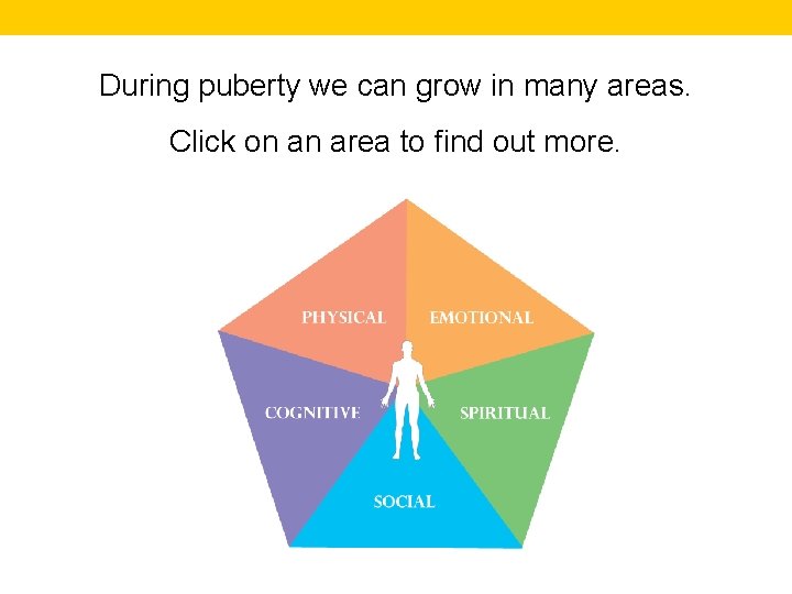 During puberty we can grow in many areas. Click on an area to find