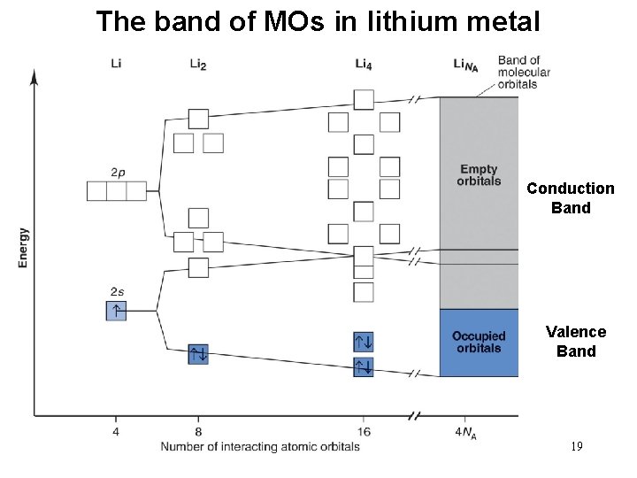 The band of MOs in lithium metal Conduction Band Valence Band 19 
