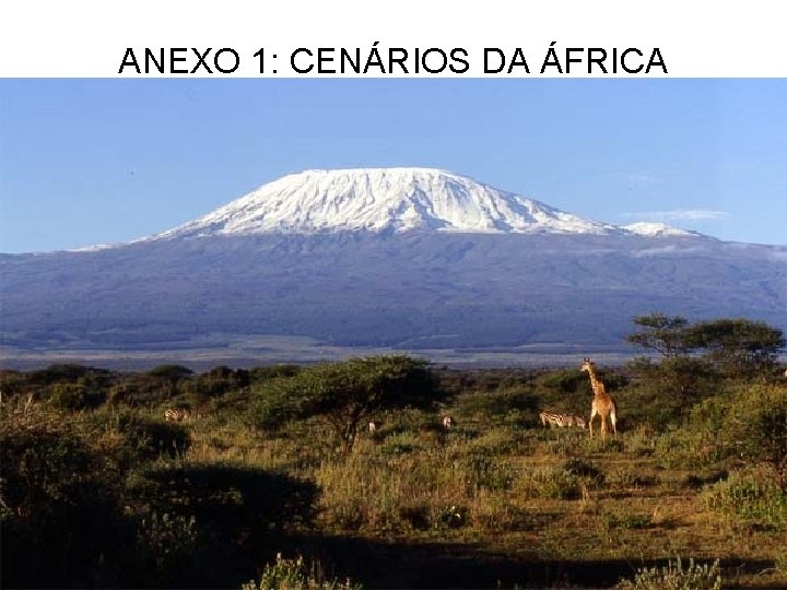 ANEXO 1: CENÁRIOS DA ÁFRICA 