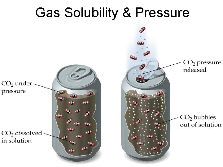 Gas Solubility & Pressure 