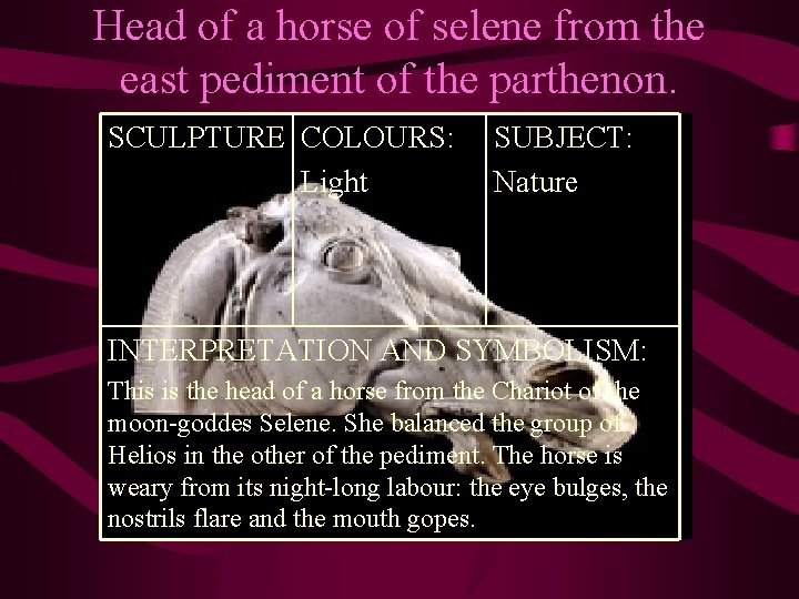 Head of a horse of selene from the east pediment of the parthenon. SCULPTURE