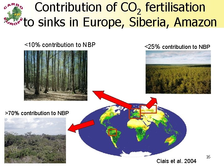 Contribution of CO 2 fertilisation to sinks in Europe, Siberia, Amazon <10% contribution to