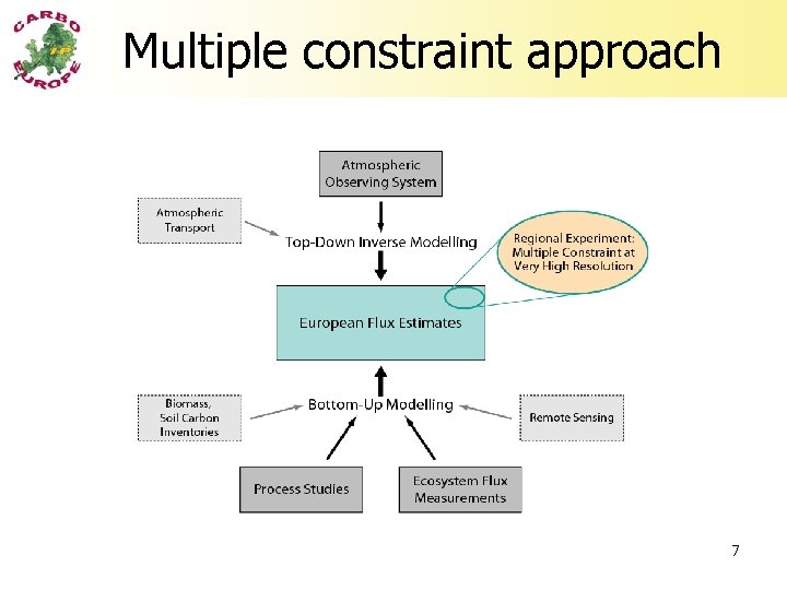 Multiple constraint approach 7 