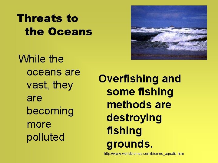 Threats to the Oceans While the oceans are vast, they are becoming more polluted