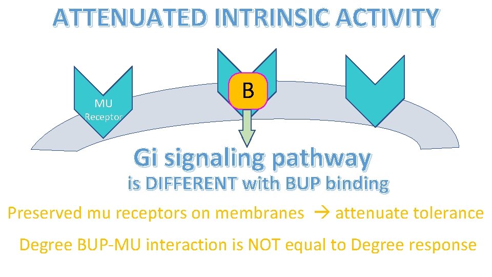 ATTENUATED INTRINSIC ACTIVITY MU B Receptor Gi signaling pathway is DIFFERENT with BUP binding