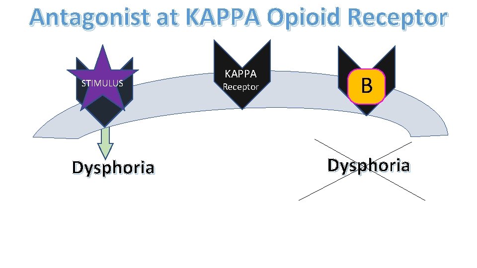 Antagonist at KAPPA Opioid Receptor STIMULUS Dysphoria KAPPA Receptor B Dysphoria 