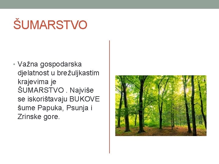 ŠUMARSTVO • Važna gospodarska djelatnost u brežuljkastim krajevima je ŠUMARSTVO. Najviše se iskorištavaju BUKOVE
