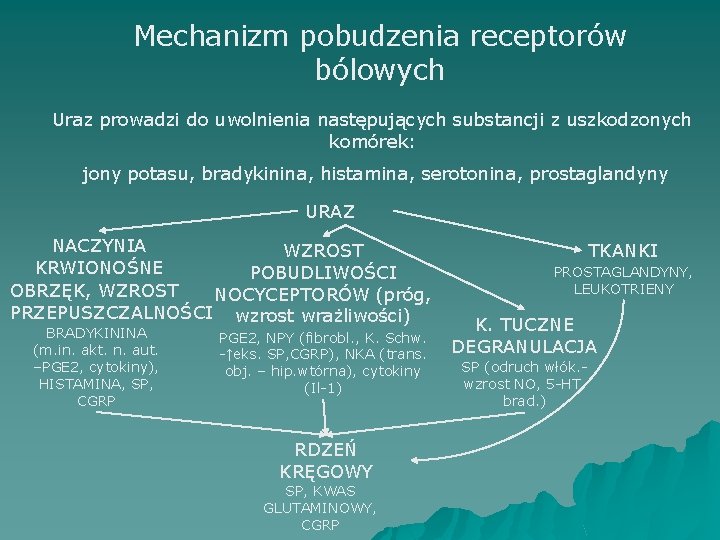 Mechanizm pobudzenia receptorów bólowych Uraz prowadzi do uwolnienia następujących substancji z uszkodzonych komórek: jony