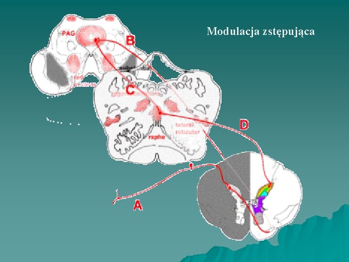 Modulacja zstępująca 