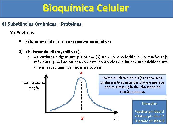 Bioquímica Celular 4) Substâncias Orgânicas - Proteínas V) Enzimas § Fatores que interferem nas