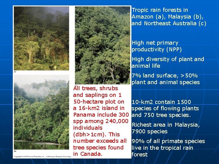 Tropic rain forests in Amazon (a), Malaysia (b), and Northeast Australia (c) High net