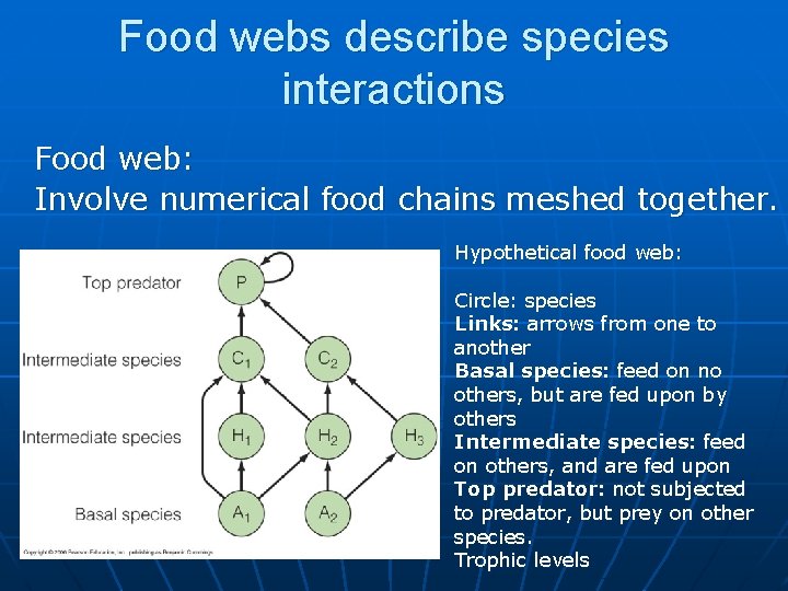 Food webs describe species interactions Food web: Involve numerical food chains meshed together. Hypothetical