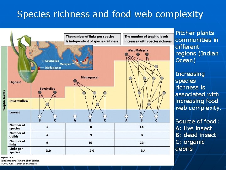 Species richness and food web complexity Pitcher plants communities in different regions (Indian Ocean)