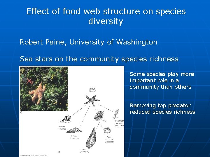 Effect of food web structure on species diversity Robert Paine, University of Washington Sea