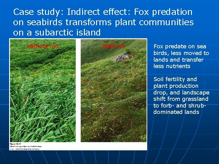 Case study: Indirect effect: Fox predation on seabirds transforms plant communities on a subarctic