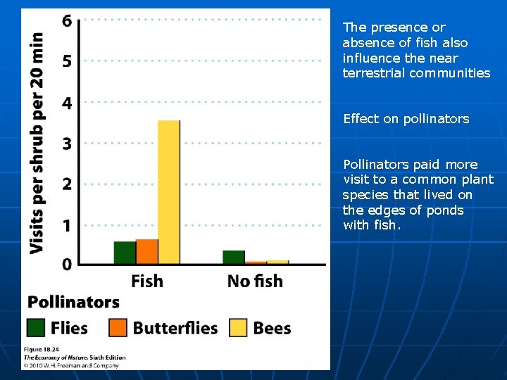 The presence or absence of fish also influence the near terrestrial communities Effect on