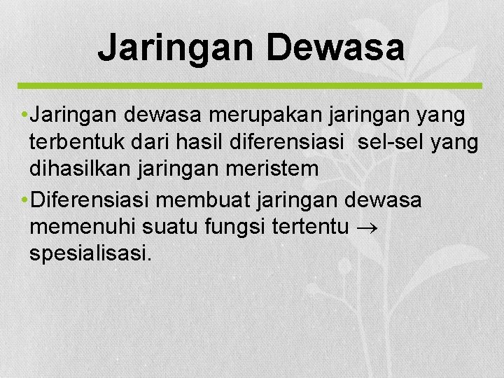 Jaringan Dewasa • Jaringan dewasa merupakan jaringan yang terbentuk dari hasil diferensiasi sel-sel yang
