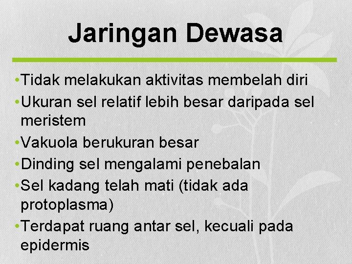 Jaringan Dewasa • Tidak melakukan aktivitas membelah diri • Ukuran sel relatif lebih besar