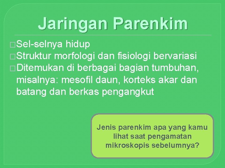Jaringan Parenkim �Sel-selnya hidup �Struktur morfologi dan fisiologi bervariasi �Ditemukan di berbagai bagian tumbuhan,