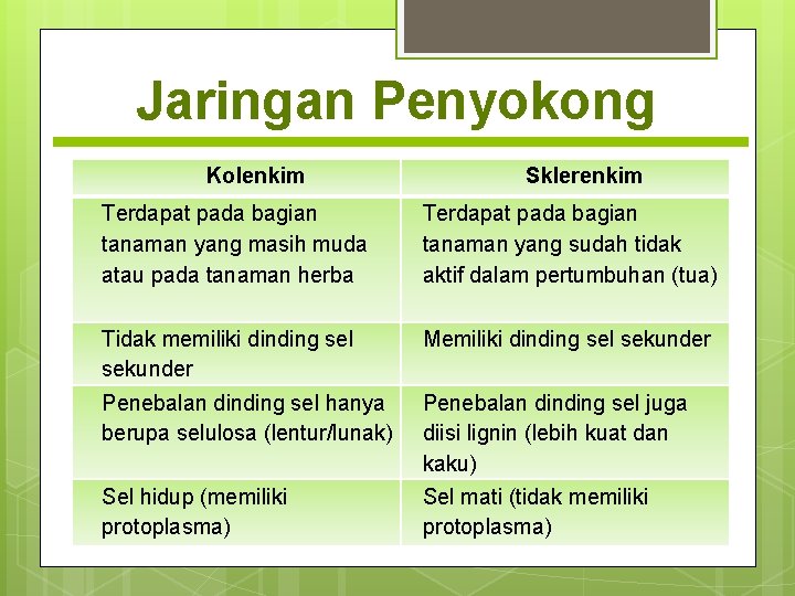 Jaringan Penyokong Kolenkim Sklerenkim Terdapat pada bagian tanaman yang masih muda atau pada tanaman