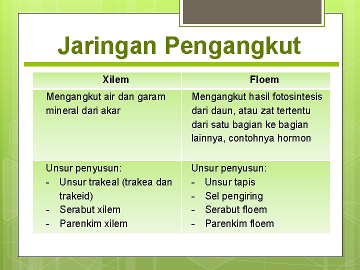 Jaringan Pengangkut Xilem Floem Mengangkut air dan garam mineral dari akar Mengangkut hasil fotosintesis