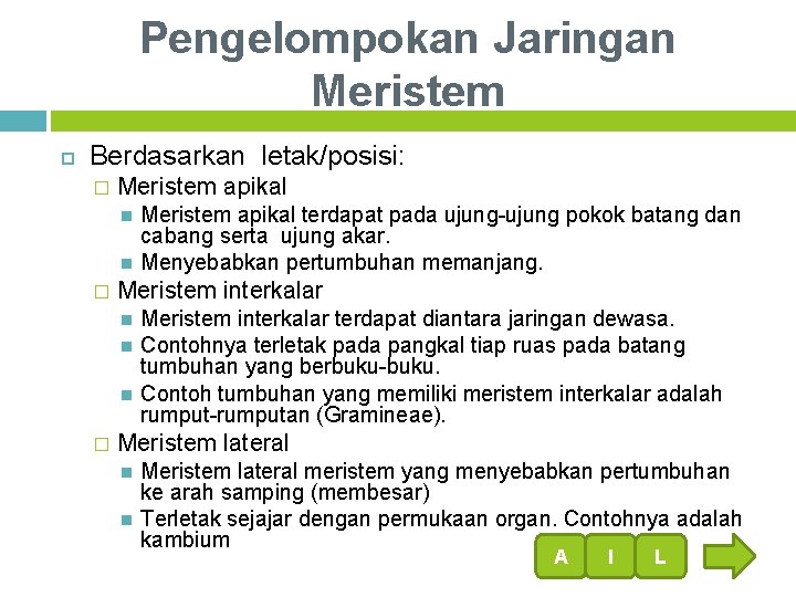 Pengelompokan Jaringan Meristem Berdasarkan letak/posisi: � Meristem apikal � Meristem interkalar � Meristem apikal