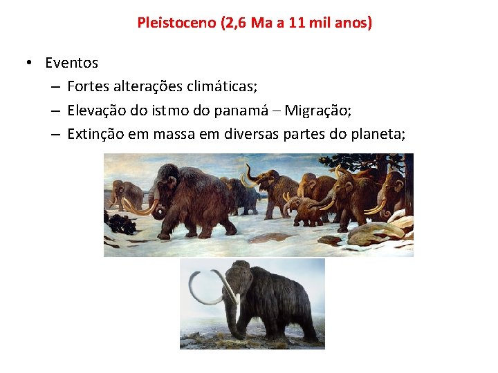 Pleistoceno (2, 6 Ma a 11 mil anos) • Eventos – Fortes alterações climáticas;