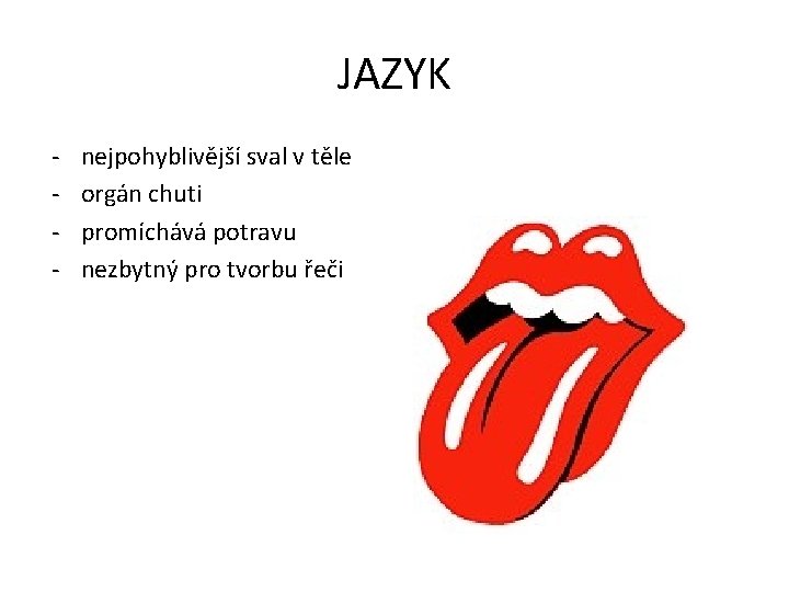 JAZYK - nejpohyblivější sval v těle orgán chuti promíchává potravu nezbytný pro tvorbu řeči