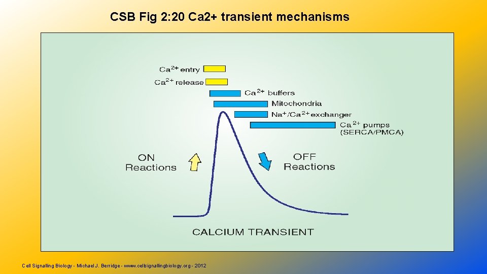 CSB Fig 2: 20 Ca 2+ transient mechanisms Cell Signalling Biology - Michael J.